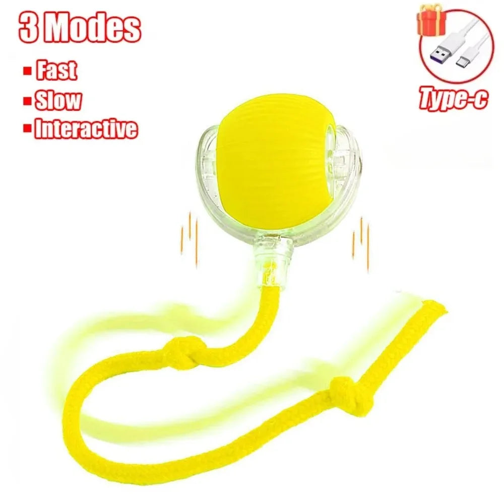 PetHuggle™ Smart Rolling Ball – The Ultimate Interactive Toy for Curious Cats